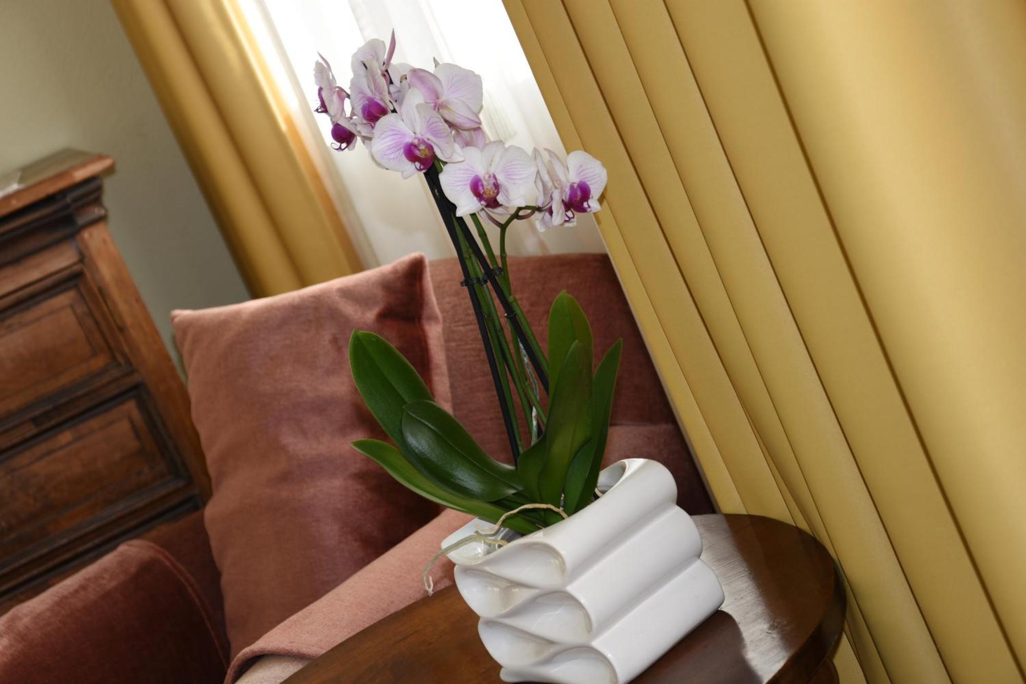 Casa Birgitta Hotell Lugano Eksteriør bilde
