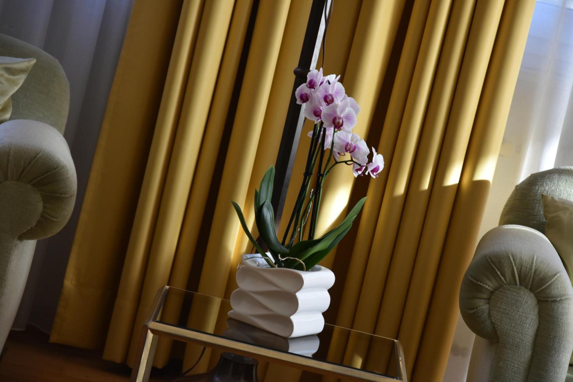 Casa Birgitta Hotell Lugano Eksteriør bilde